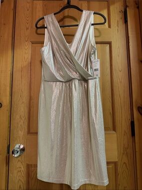 NWT Donna Ricco Sleeveless Iridescent Silver V-Neck Dress